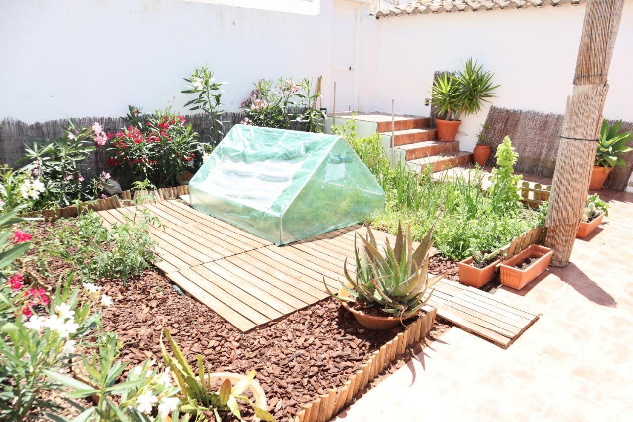 Salema Beach Private Villa מראה חיצוני תמונה